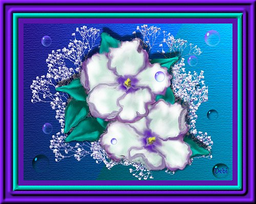 African Violets and Bubbles