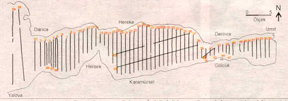 Izmit Korfezi sismik yans�ma verileri