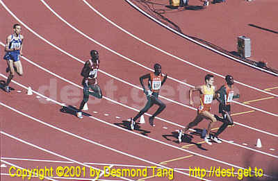 (8th IAAF Championships photo Men Steeplechase 03)   