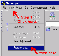 (screenshot-disable JavaScript)   