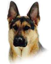 What are you looking at