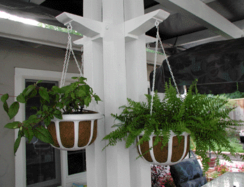 Plant Hangers