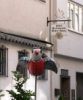The Sparrow that built the city of Ulm