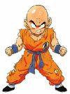 krillin.jpg (4514 bytes)