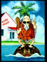 roshi.jpg (13467 bytes)