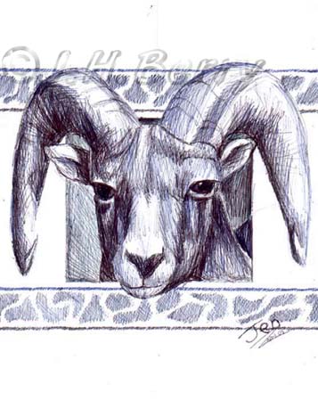 A bighorn mountain sheep ram's head