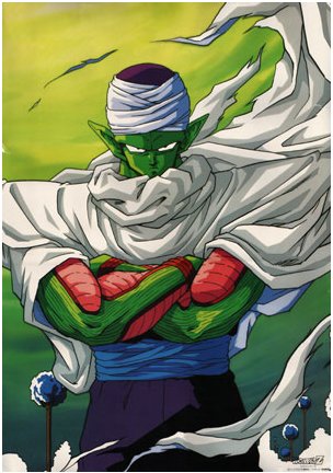 Piccolo Standing in the Sun