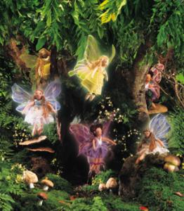 treefairies