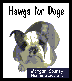 go to Morgan County Humane society HAWGS for DOGS