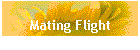 Mating Flight