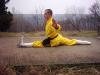 Shaolin Skills 5