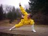Shaolin Skills 19
