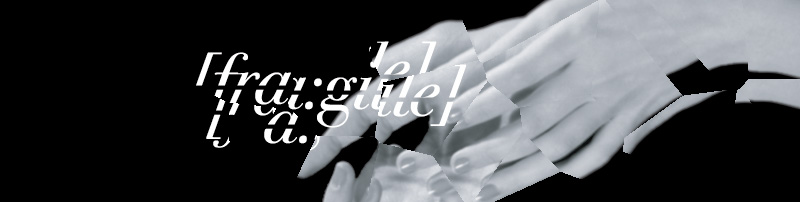 fragile banner