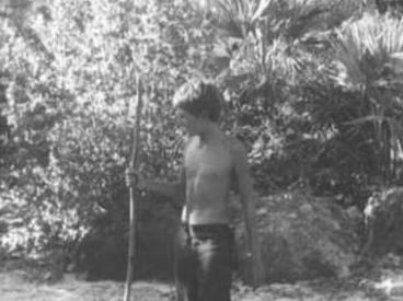 free shemale sex video