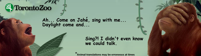 TOzoo.jpg (36951 bytes)