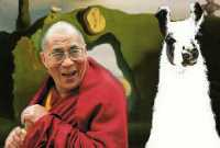 Dali Llama