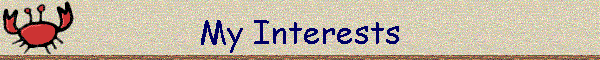My Interests