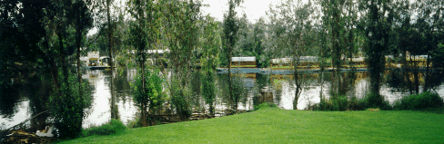 Xochimilco desde mi ventana