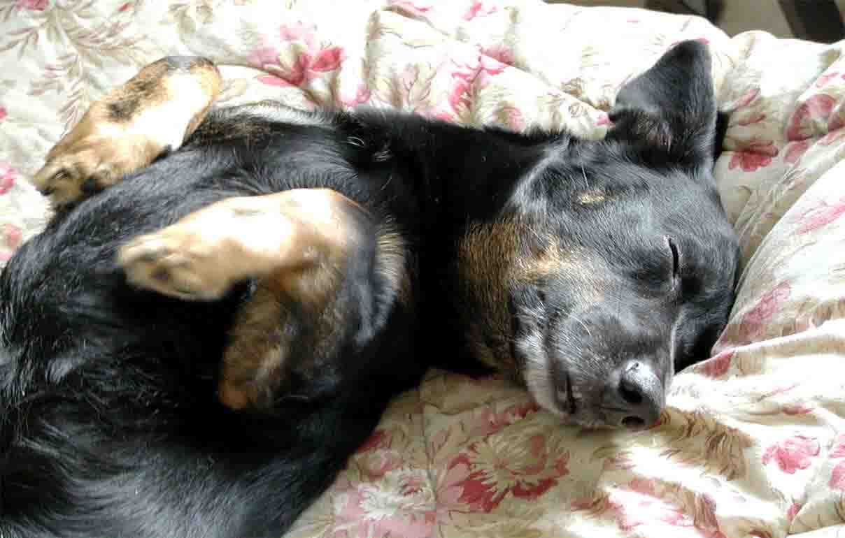 �r det konstigt att han �r bortsk�md?