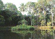 สระนาฬิเกร์