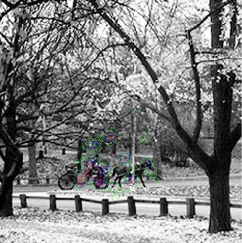 Donn�es individuelles