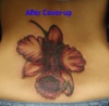 After coverup