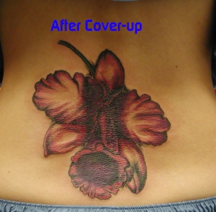 After coverup