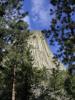 Devils Tower