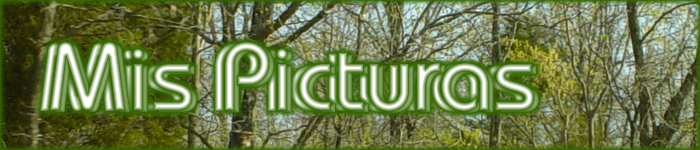 Mis Picturas