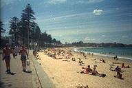 Manly Beach