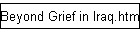 Beyond Grief in Iraq.html