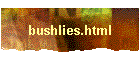 bushlies.html