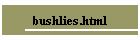 bushlies.html