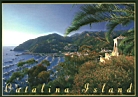 catalina-postcard2.JPG