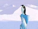 penguin.jpg