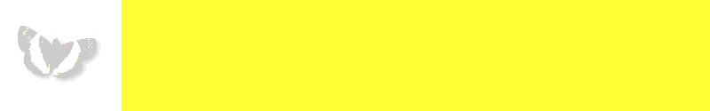 BORDER119YW.GIF (2538 bytes)