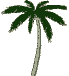 palm.gif (4795 bytes)