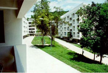 the view from our flat