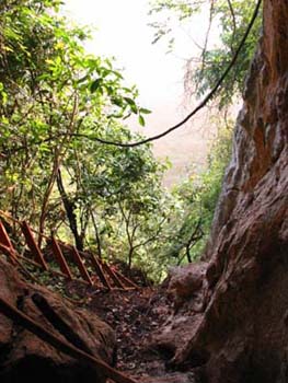 the bat cave and bat ladder