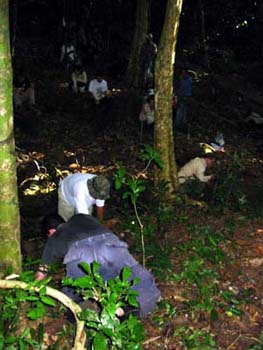 instructors demonstrating a quadrat