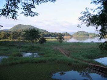 view from resteraunt