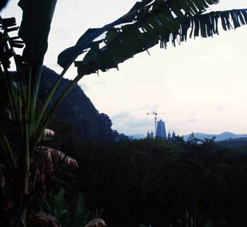 Temple in the Jungle