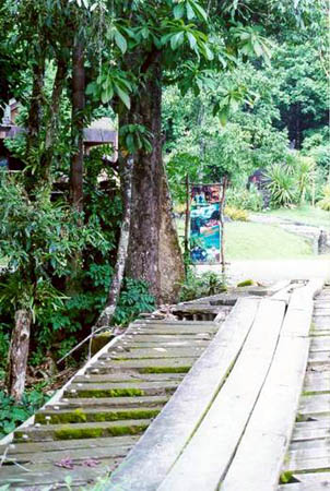 a techinogically advanced bridge!