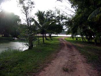 dirt track leading to reservoir