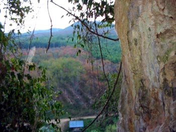 View from entrance (day)