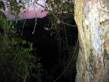 The view from the top entrance (night)