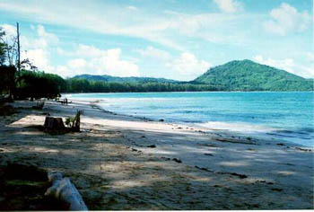 a beach on Phuket