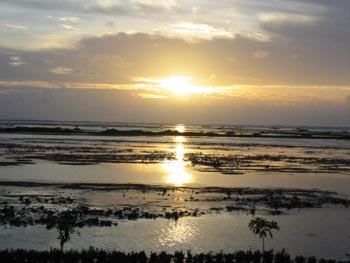 sunrise over the lake