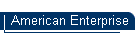American Enterprise