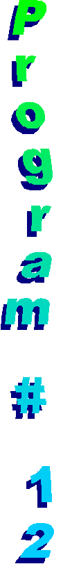 Program # 12